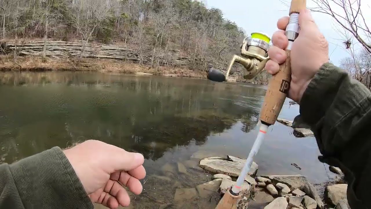 Mulberry River Adventure