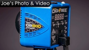 Paul C. Buff DigiBee DB400 & DB800 Studio Strobes - Review Plus Photo Samples