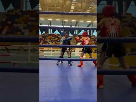 Video: Knock Outs Çiçek Açmıyor: Nakavt Güllerde Çiçek Olmamasının Nedenleri