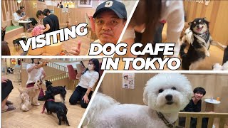 Visiting Dog Cafe in Tokyo I Puppy Cafe Rio Asakusa I The wonderer of japan