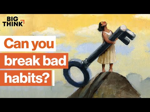 Habits: How To Be Successful Every Day | Dan Ariely, Gretchen Rubin U0026 More | Big Think