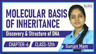Molecular Basis of Inheritance | Discovery & Structure of DNA || Class 12th | Chapter-6 | Duca India