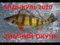 зимняя рыбалка окунь на айдыкуле 2020-2021
