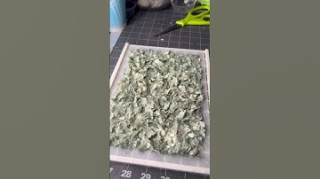 Thumbnail of Money paper 💵 #artprocess #papermaking #paper #money