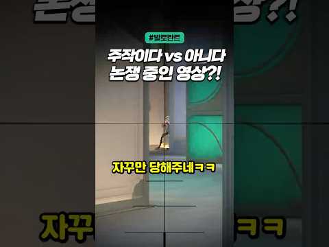 해외에서 주작이다 아니다로 논쟁 중인 영상?