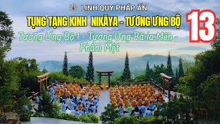 TỤNG TẠNG KINH NIKAYA 13 -Tương Ưng Bộ 1 - Tương Ưng Bà la Môn - Phẩm Một
