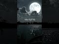 ارح سمعك الم تكن اياتي تتلى عليكم القارئ ياسر الدوسري تلاوة تريح الصدور وتزيل الهم عم القلب ارح سمعك الم تكن اياتي تتلى عليكم القارئ ياسر الدوسري تلاوة تريح الصدور وتزيل الهم عم القلب