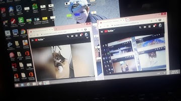 up to faster 11 parison to cats