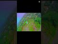 Pavo 20, but set with analog camera #fpvdrone #fpvfreestyle #drone #fypyoutube #fyp