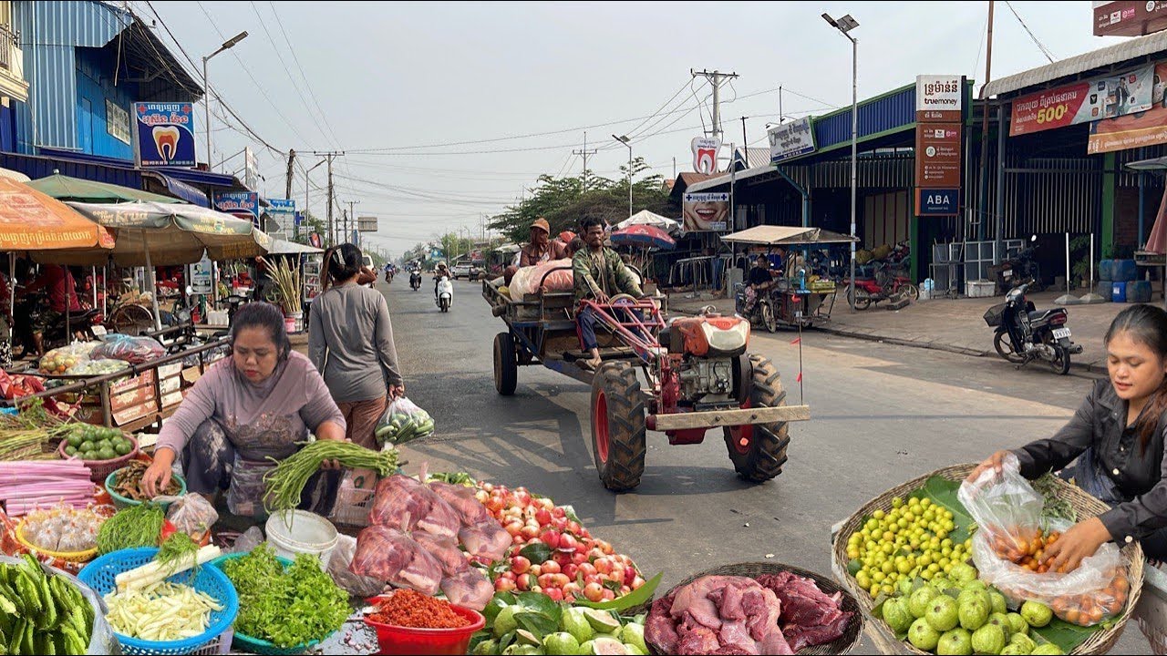 Cambodia Best Street Food Compilation - Countryside Food Vlog @ Siem Reap