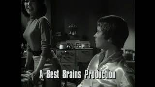 DLC: A Best Brains Production (1993)/Warner Bros. Television (1994)