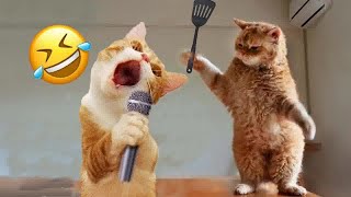 Best Funny Dogs and Cats VideosFunniest Animal videos 2024‍Part 9