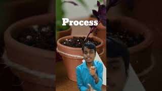 90% Students Ye Nutrition Question Galat Karte Hain 😱 | BSEB Class 10