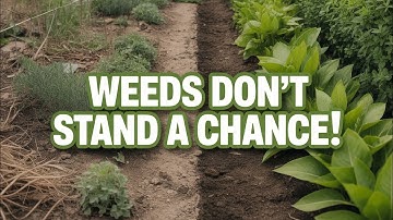 You Need To Try This Amish Soil TRICK for Weed Free Gardens 🌱