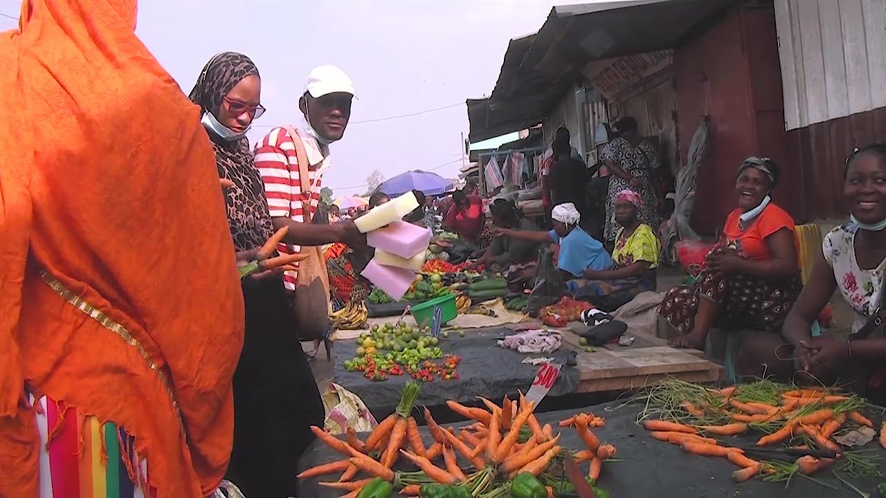 Dolisie et sa Terre Agricole
