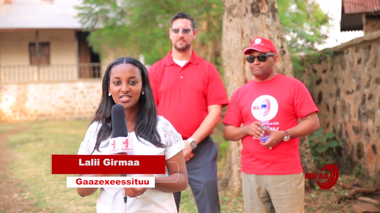 ORMAANIYAA S1 Ep 8 | DAAWWANNAA MASARAA KUMSAA MORODAA/NAQAMTEE JIILA TV MO'AA WAJJIN.