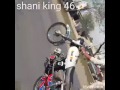 Shani king 46