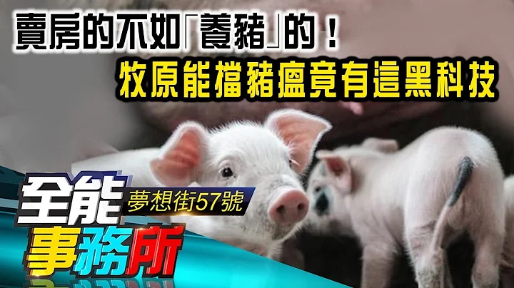 卖房的不如｢养猪｣的！牧原能挡猪瘟竟有这黑科技-廖庆学  蔡明彰《梦想街之全能事务所》精华篇 网路独播版 - 天天要闻