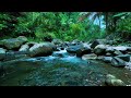Deep Sleep Nature Sounds | Peaceful River and Forest Ambience for Insomnia Relief