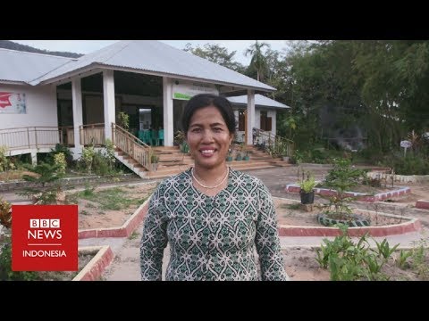 Hotlin Ompusunggu - Merawat hutan dengan layanan kesehatan berbayar bibit pohon - BBC Get Inspired