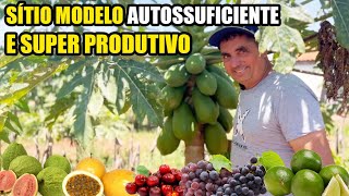 SITIO SUPER PRODUTIVO DO SEU JOÃO