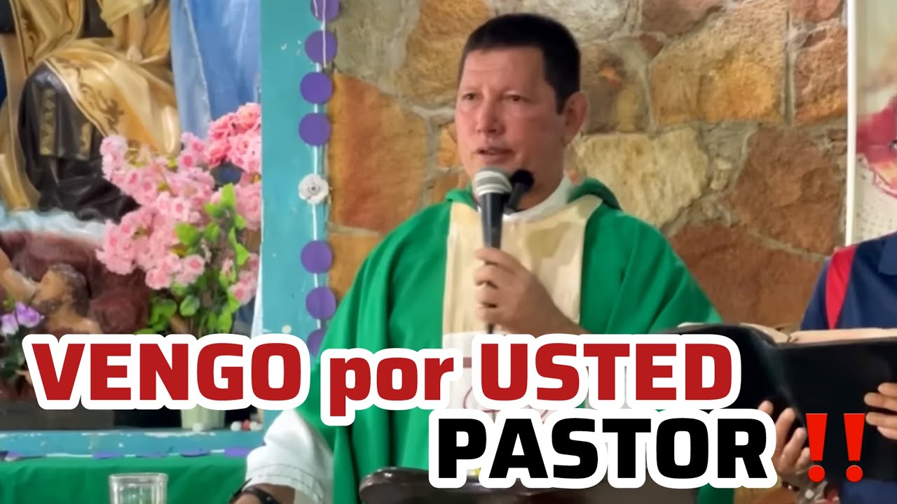 GRAN JORNADA DE MILAGROS 😱 Protestantes Engañan ❌ Y el Padre Luis Toro Los DESMIENTE‼️ /34/24