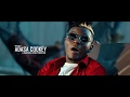DOWNLOAD VIDEO: Areezy – “Shikolobi