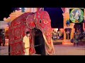 Sinharaja tusker at  perahera  kataragama