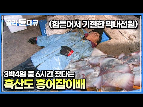 칠레산하고 절대 비교 불가능한 오리지널 <strong>흑산도</strong> 홍어잡이┃같이 <strong>배</strong> 탄 동료의 죽음도 본 목숨 걸고 일하는 선원들┃정통 홍어잡이배┃극한직업┃#골라듄다큐