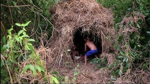 primitive technology: two brother building  real  hut in the forest