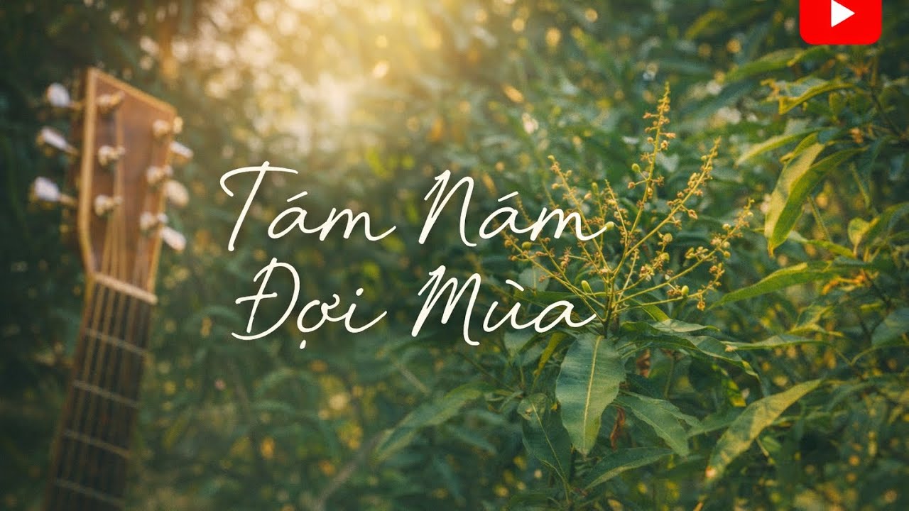 Tám Năm Đợi Mùa