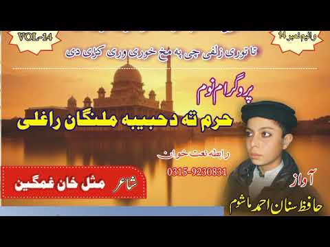 Hafiz Sanan Ahmad Mashoom Vol14 Pashto Khokoli Naat Sharep 2019