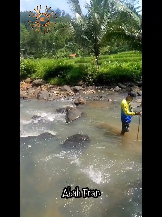 Cileumeuh River Discharge Measurement with Current Meter #shortvideo