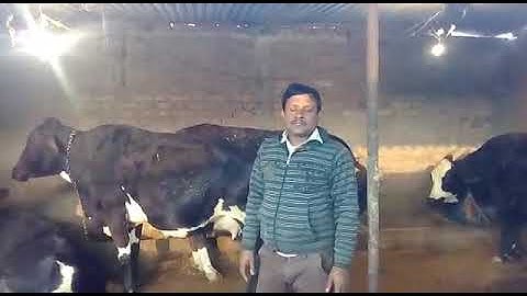 Ration balancing programme, at Etawah District UP