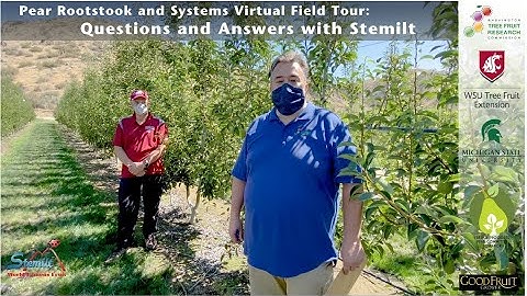Stemilt Bi-axis Pear Block Virtual Tour