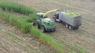 Chopping Corn in Brownington September 20 2024