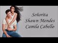 Shawn Mendes, Camila Cabello - Señorita (Lyrics) Mp3 Song