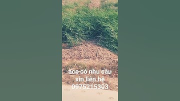 10 công đất gần khu công nghiệp trần đề st, có 300m thổ cư, mà giá chỉ có 250tr,/1000m2