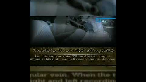 سورة ق بصوت القارئ المبدع ال شيخ ابراهيم بلتاجي خشوع وهدوء وراحآ نفسيآ وسكون غير طبيعي ♥️