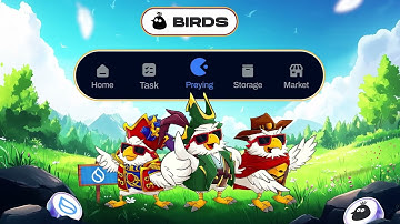 BIRDS on Sui 101: ALL-IN-ONE! 🐦