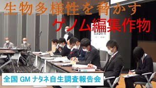 20201015 UPLAN 2020年・全国GMナタネ自生調査・院内報告会＝生物多様性を脅かすゲノム編集作物