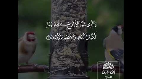 القارئ سعد ازويت  ((سورة الزخرف))