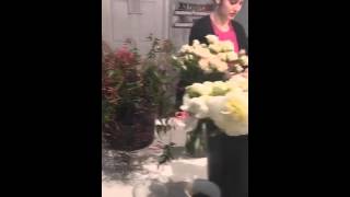 Beautiful Designs And Bunnies