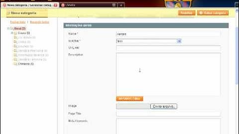 Gerenciar Categorias - Magento [ www.igloohost.net ]