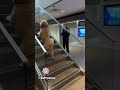 Dogs Can't Use Stairs