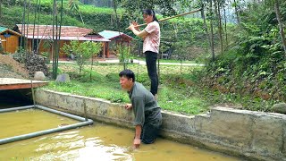 DAU & TU Renovate fish ponds: Prepare to raise large quantities. Cook papaya for pigs to eat