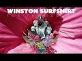 Winston surfshirt  for the record official audio