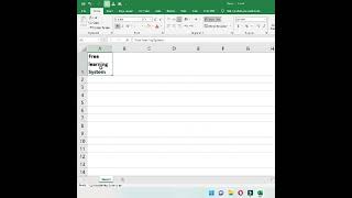How adjust value in a cell and shrink to fit in MS Excel 2016 or later screenshot 5