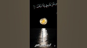 سوره الفلق بصوت الشيخ ياسر الدوسري #المصحف