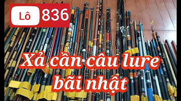 Lô 836, giả cần câu nội địa Nhật có cần lure cầm tay và cần bắt bái